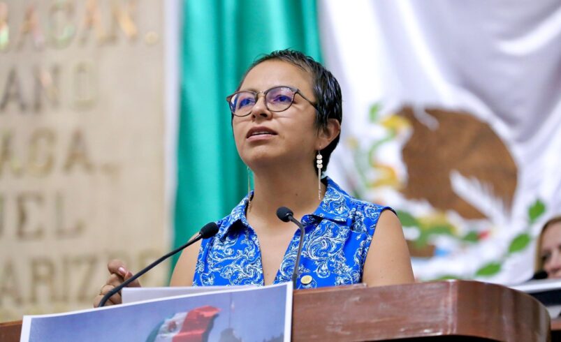 Preocupante ola de desapariciones en el Ajusco: Liz Salgado
