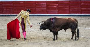 Prohibidas las corridas de toros con violencia en CDMX: Brugada