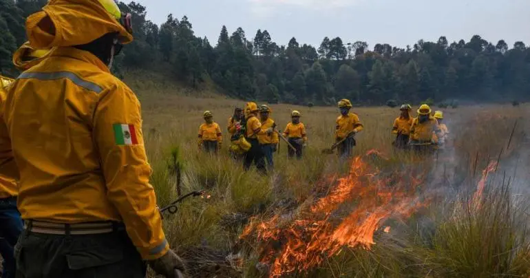 Realizan quema controlada en Edomex previo a temporada de incendios forestales