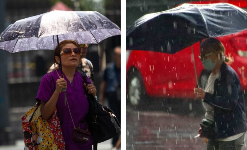 Lluvias reblandecen el suelo en CDMX: árboles caen sobre autos y peatones