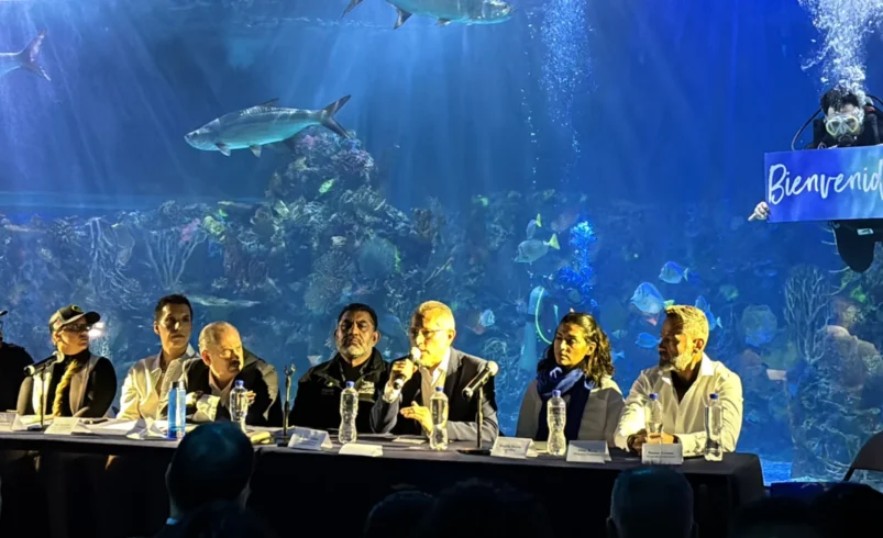 Tiburones sin miedo: el Acuario Inbursa lanza exposición para cambiar la percepción de estos gigantes del mar