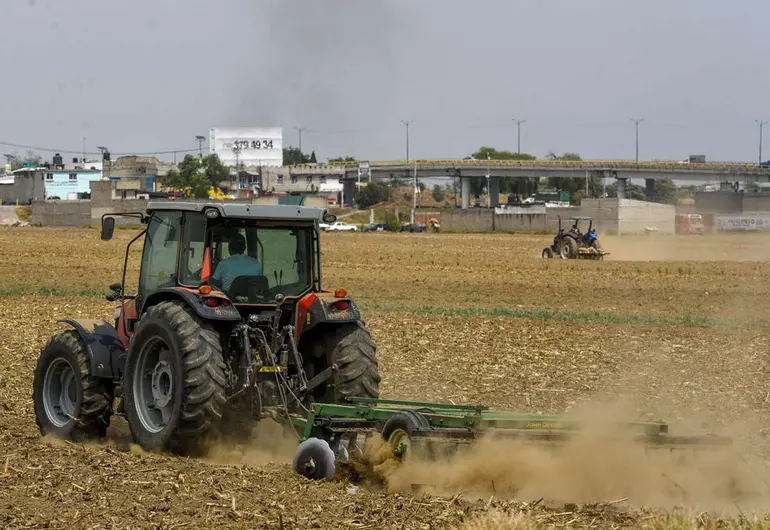 Bienestar otorga apoyos de 6 mil a 24 mil pesos a productores mexicanos; PASO A PASO para obtener la ayuda