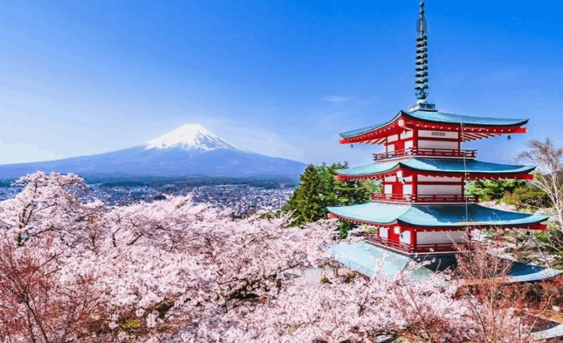 Trump recibirá 250 cerezos de Japón por los más de dos siglos de la Independencia de EU