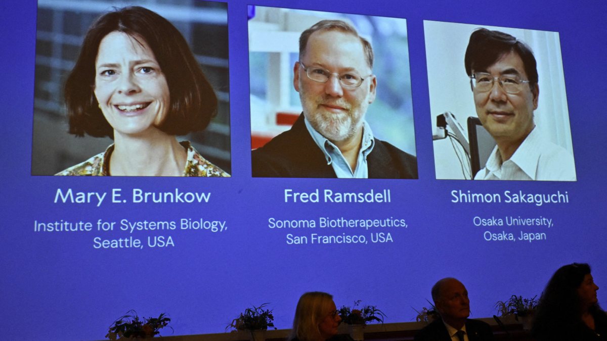 Brunkow, Ramsdell y Sakaguchi ganan Nobel de Medicina 2025 por descubrimientos sobre sistema inmunitario