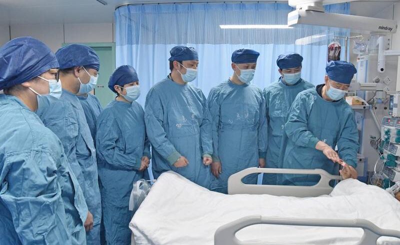 (Multimedia) China logra avance en técnica de circulación cruzada extracorpórea con hígado de cerdo extendiendo tiempo para trasplante en pacientes humanos