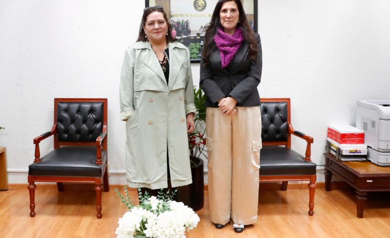 El INE tiene las puertas abiertas de la Cámara de Diputados: Kenia López Rabadán