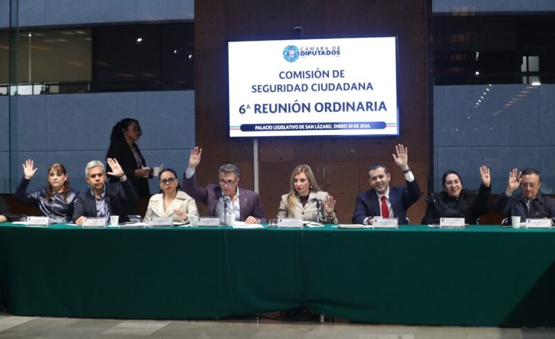 Comisión de Seguridad aprobó por unanimidad reformas para prevenir violencia familiar y fortalecer la seguridad vial