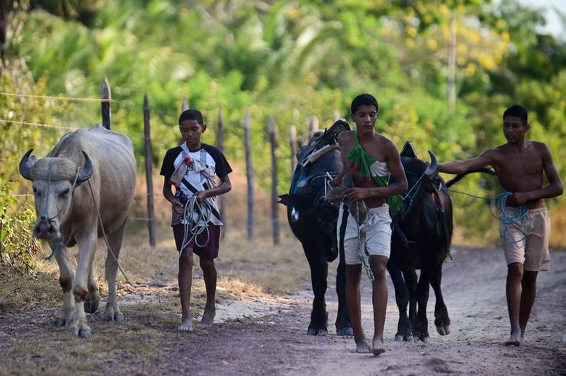 (Multimedia) Brasil registra en 2025 el mejor año en reducción de trabajo infantil desde 2017